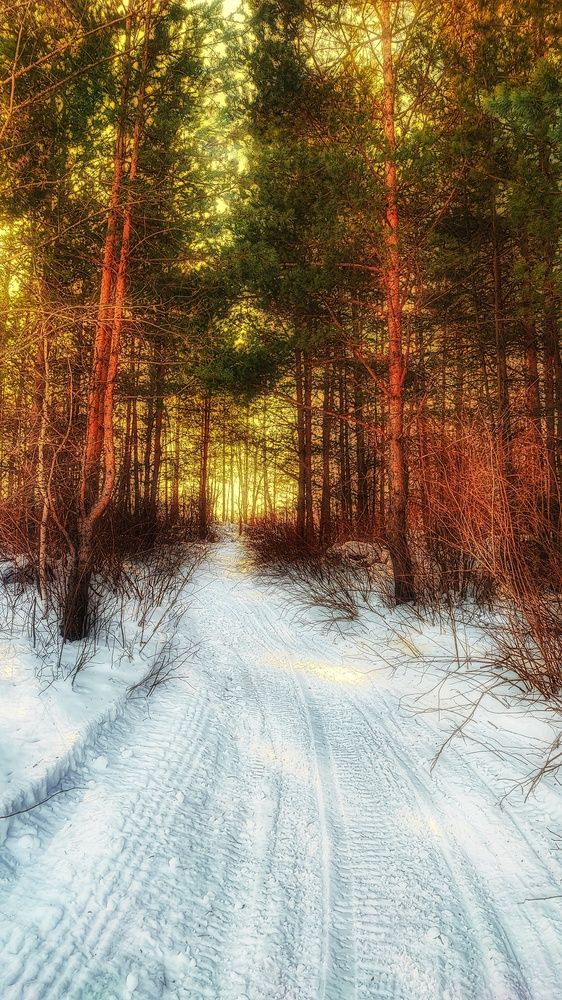 Photograph by Виктория Мамлеева