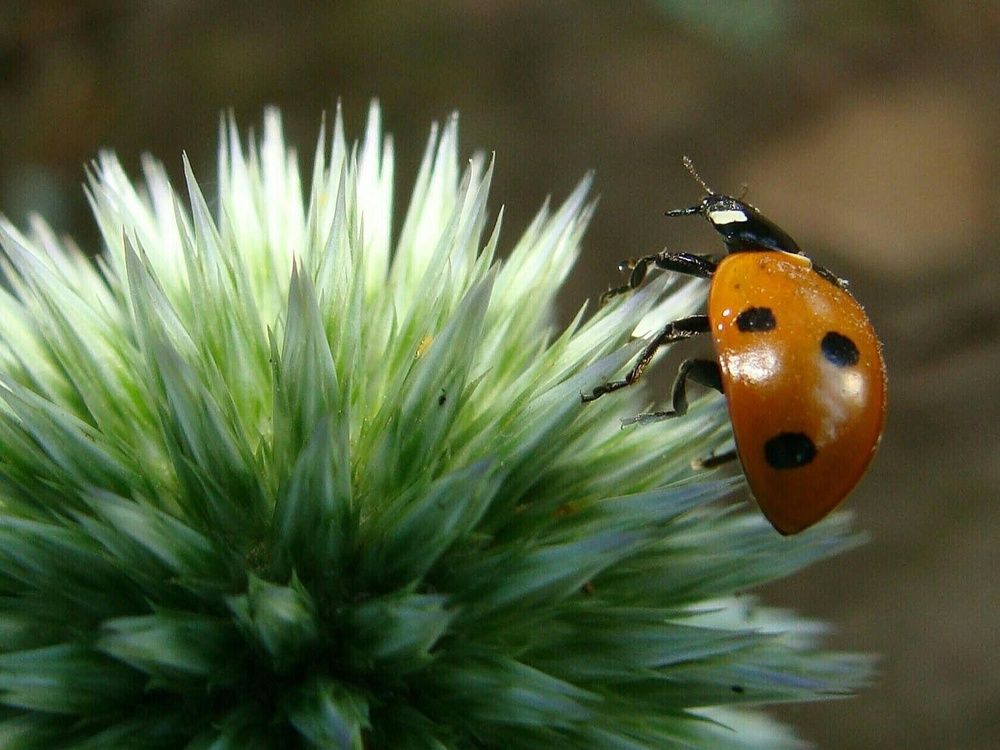 Фотография автора Павел Попов