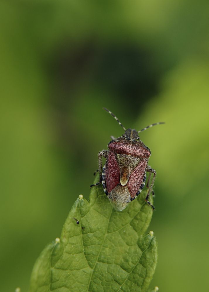 Photograph by Наталья Смирнова