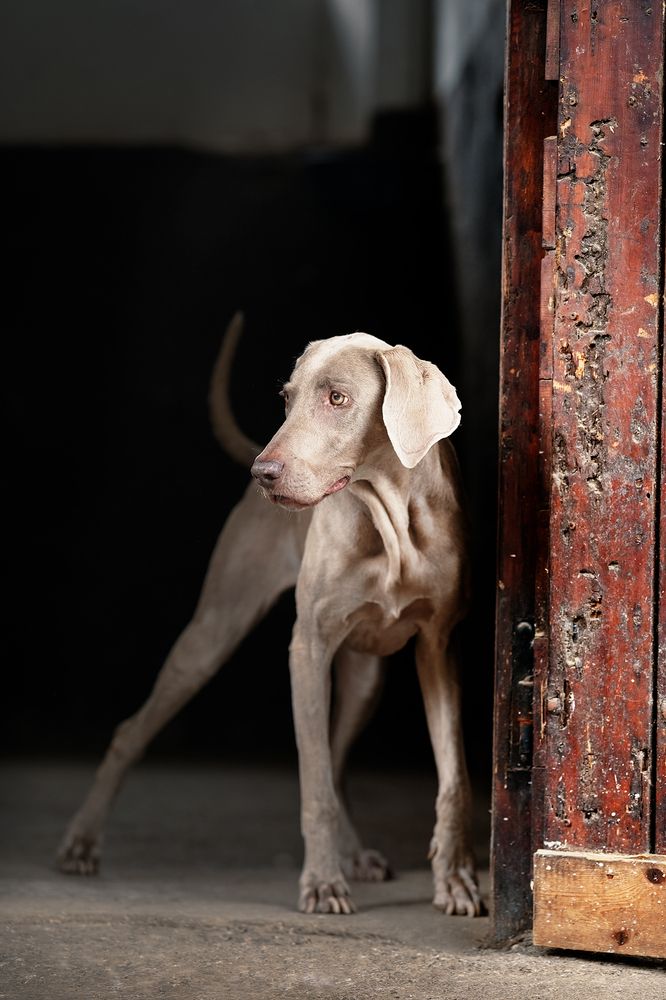 Фотография автора MARIA SHUTOVA