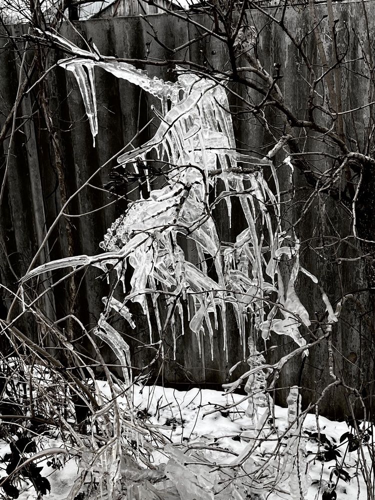 Сказочное… чудо…!