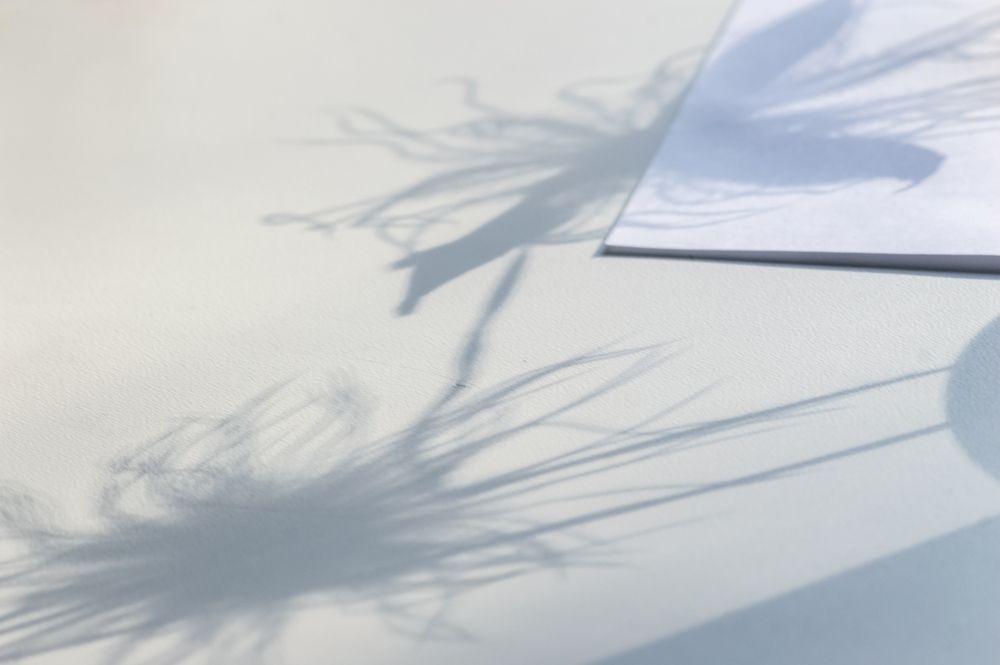 Photograph by Nadezhda