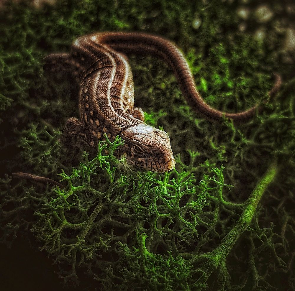 Photograph by Марина Мальцева