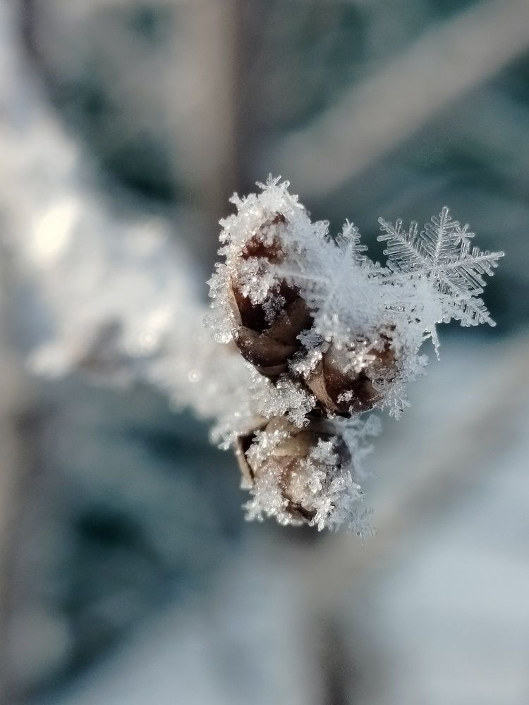 Photograph by Зульфия Набиуллина