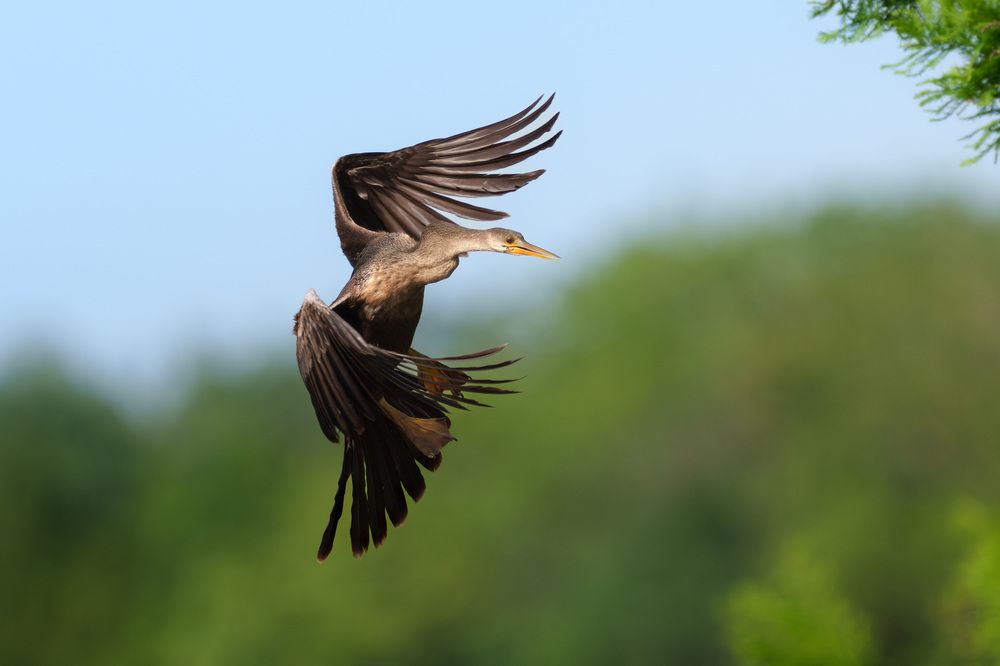 Photograph by Vladimir Kulikov