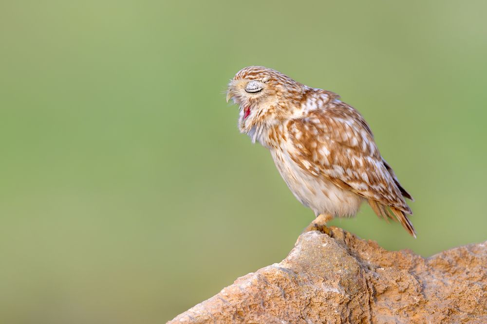 Photograph by Vladimir Kulikov