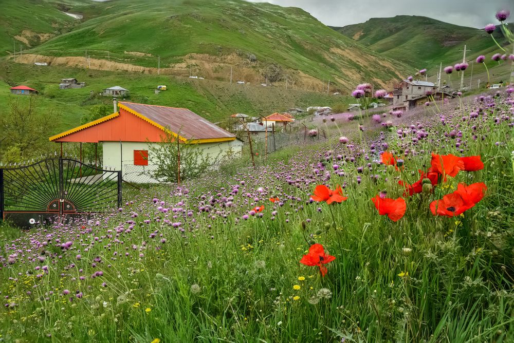 Фотография автора Farhad Alidost