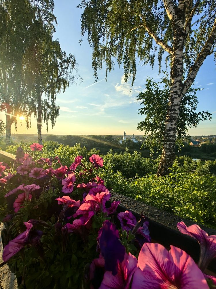 Photograph by Валерия Бебенина