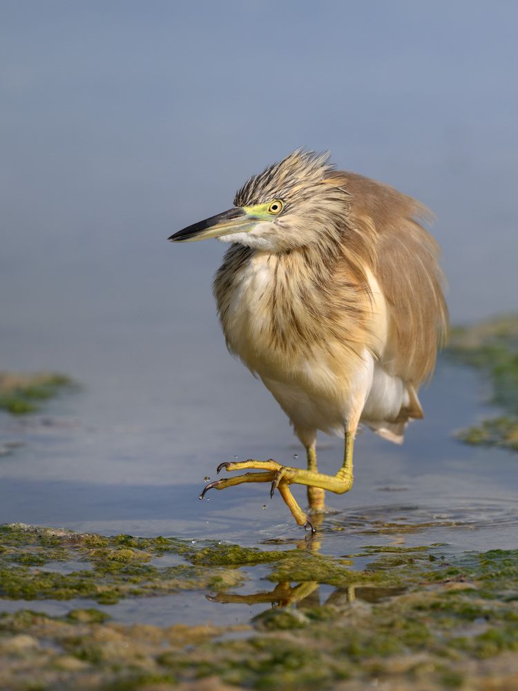 Photograph by Vladimir Kulikov