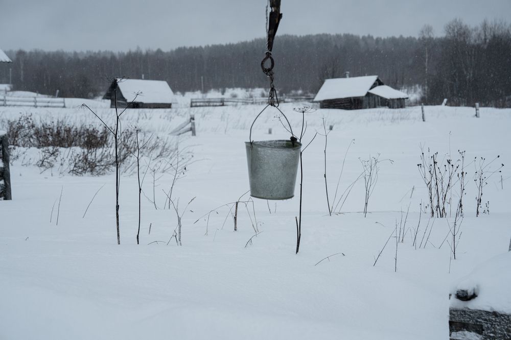 Photograph by Ковригина Евгения