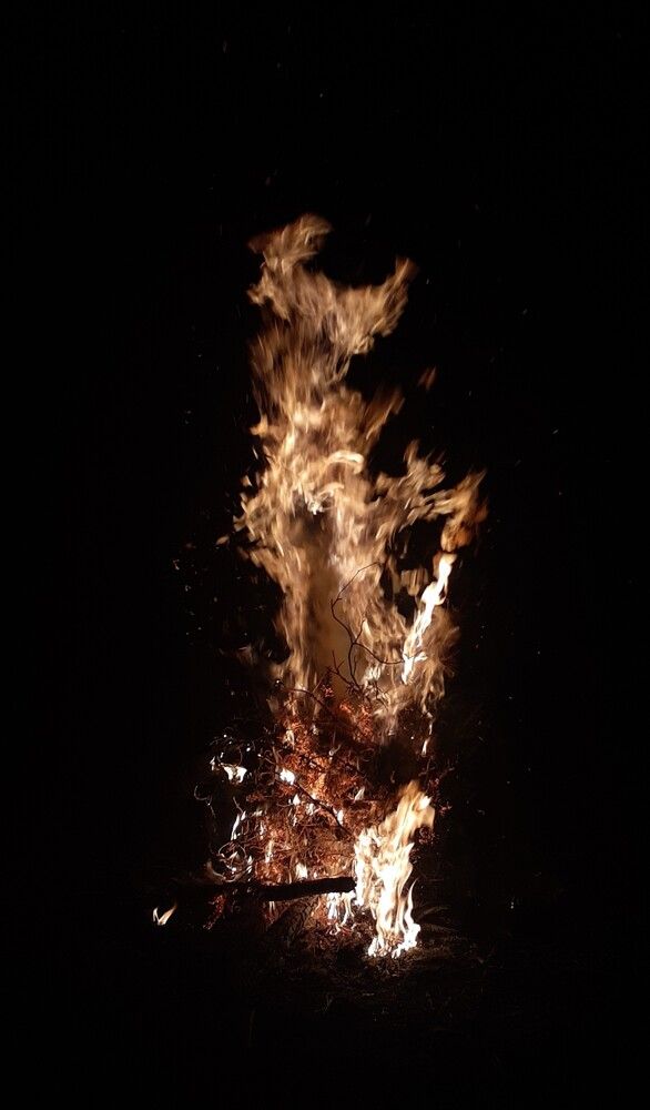 Photograph by Dennise Treijs