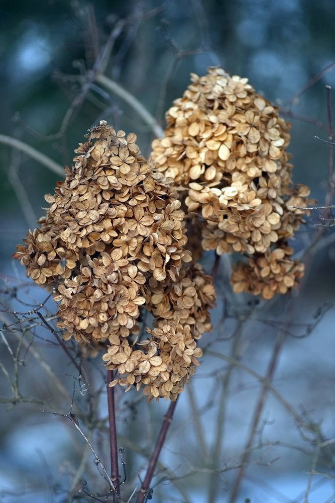 Фотография автора Юрий Кашлевский