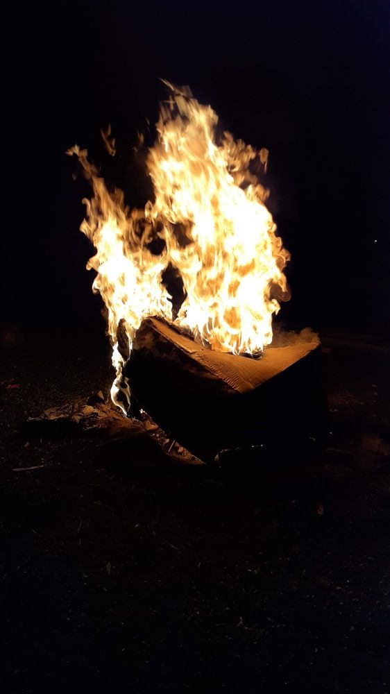 Photograph by Dennise Treijs