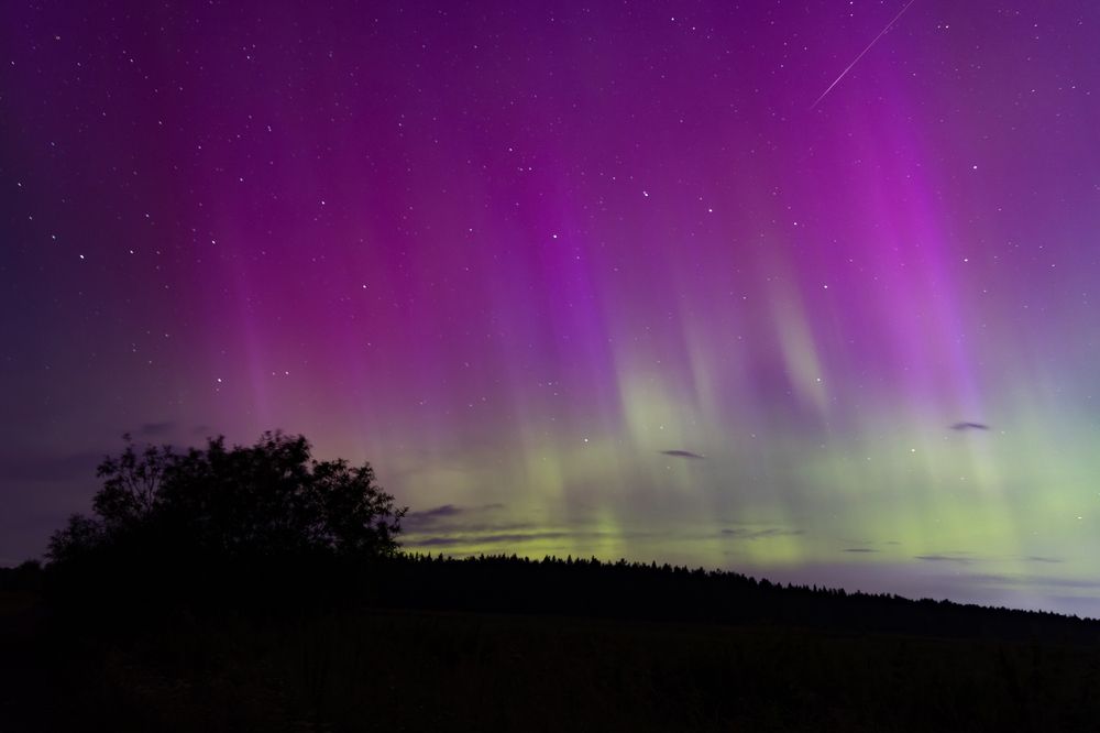 Photograph by Алина Щекотова