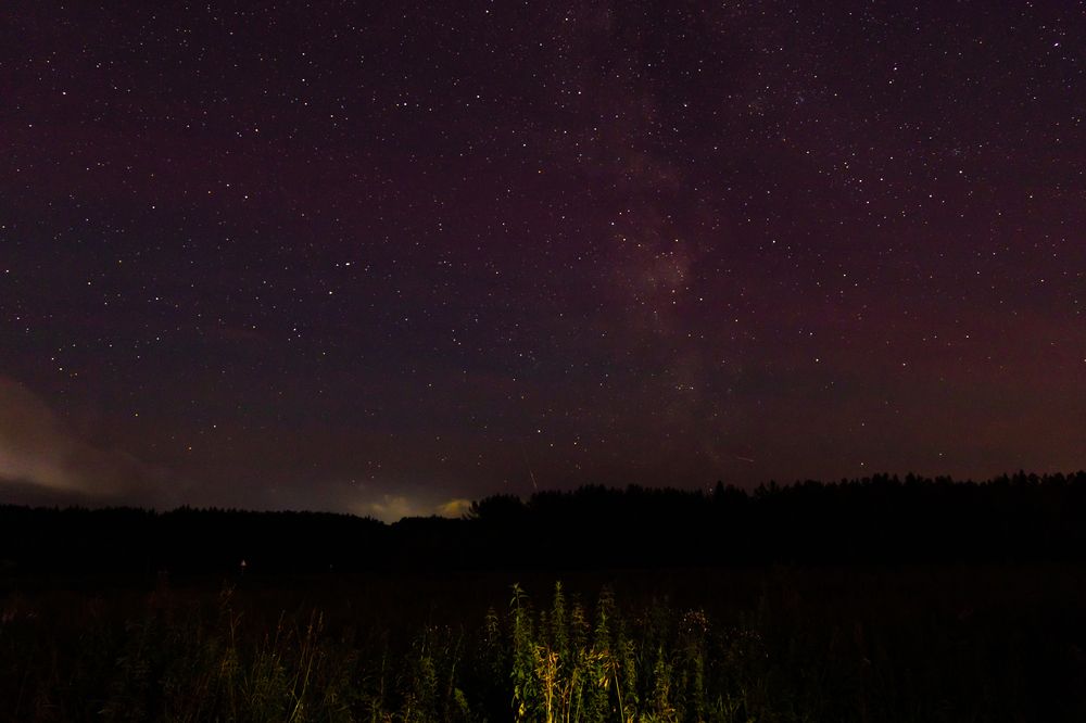 Photograph by Алина Щекотова