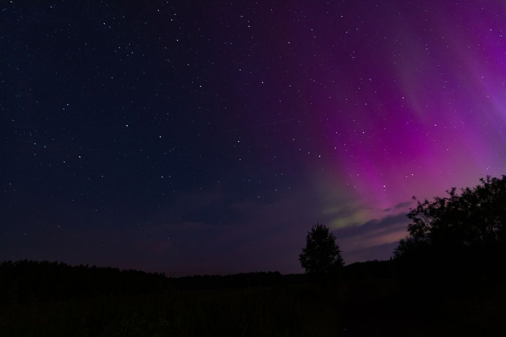 Photograph by Алина Щекотова