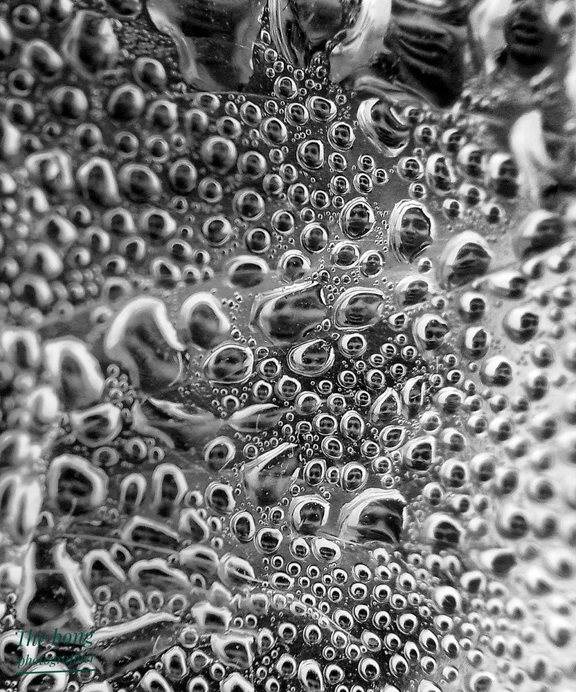 Photo #11948330