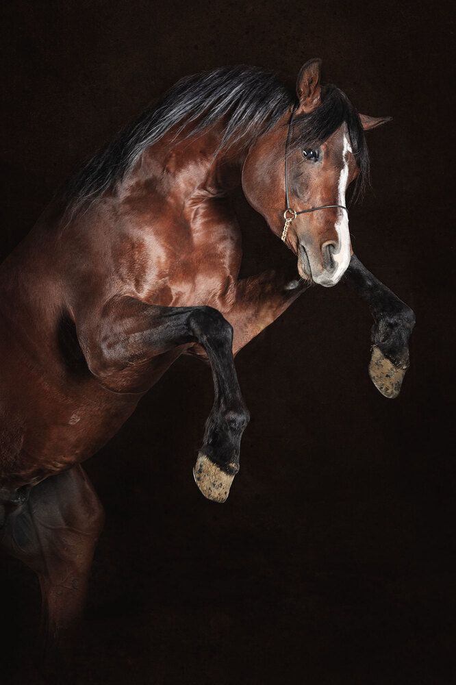 Photograph by Maria Shutova Shutova