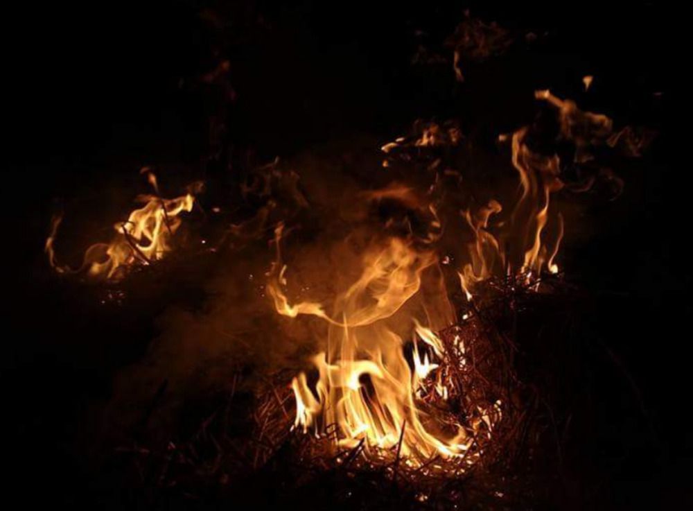 Photograph by Dennise Treijs