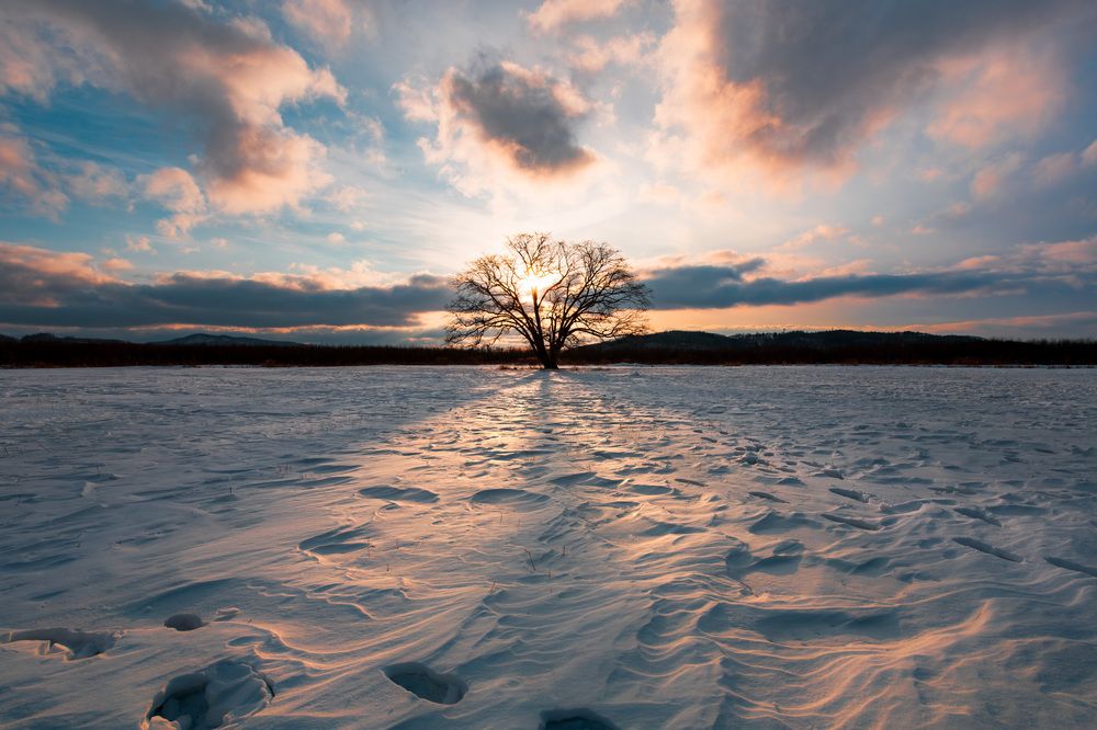 Photograph by Hinata