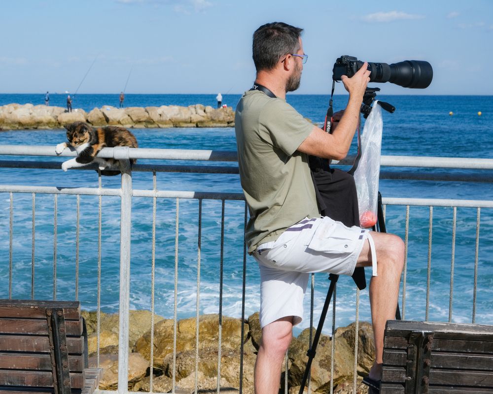 Photograph by Alexander Altgauzen