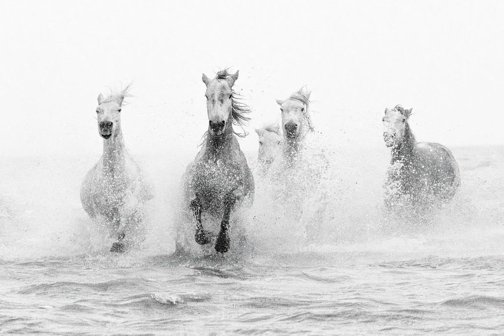 Photograph by Maria Shutova Shutova