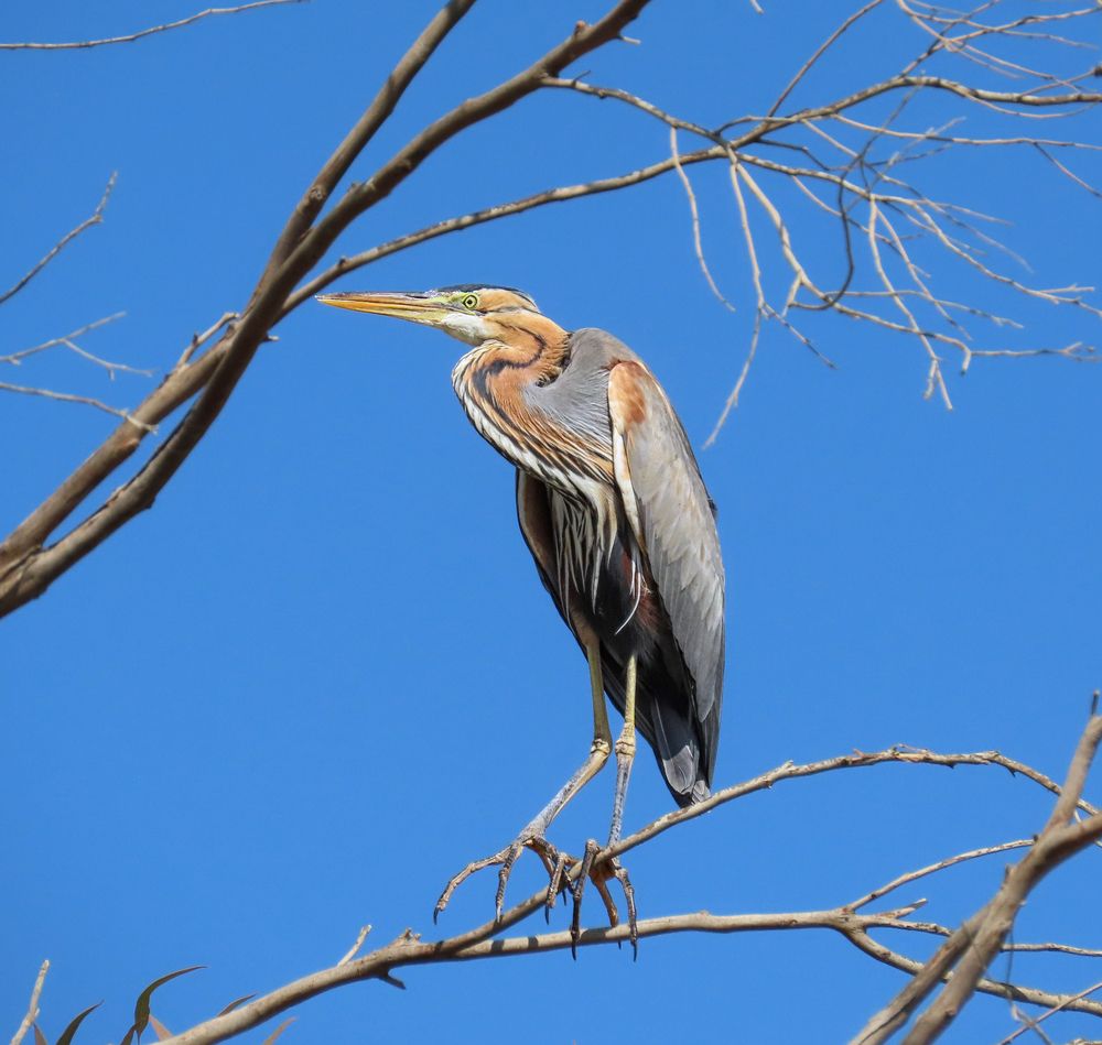 Photograph by Drora Baharal