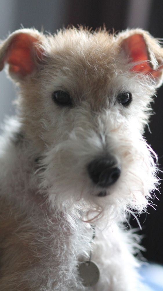 Photograph by Майя Чехова