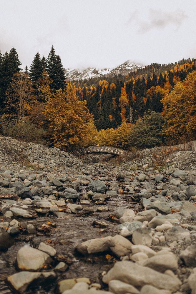 Photograph by Лилия Эссерт