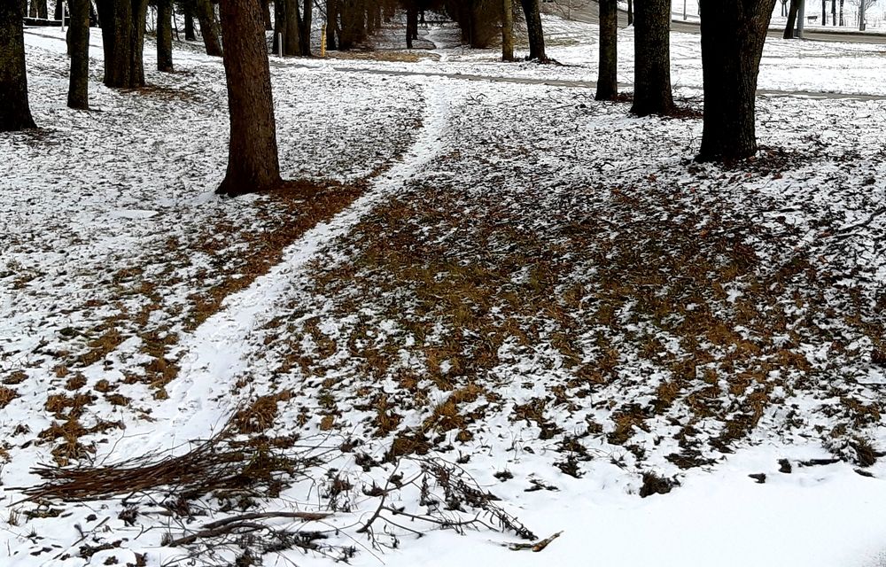 Фотография автора Юлия Паска