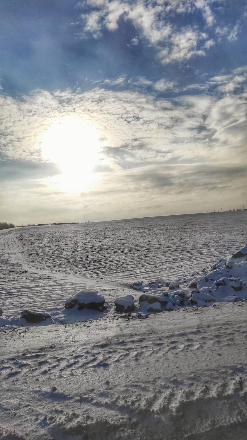Photo #11948570