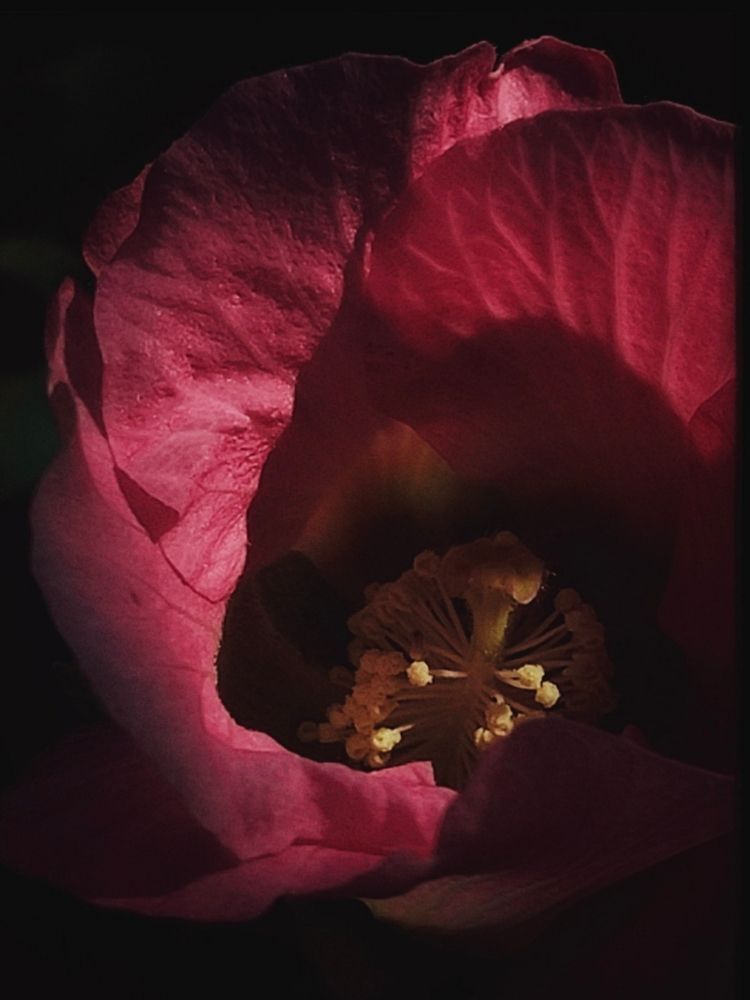 Photograph by Светлана Холодова