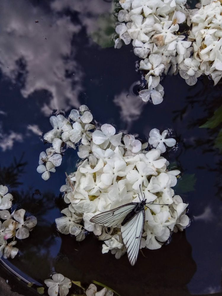 Photograph by Алиса Лукина