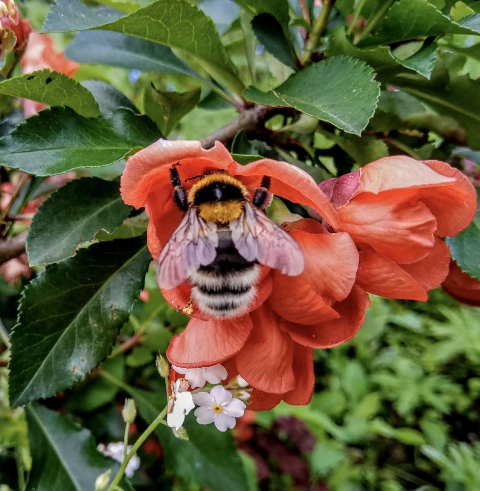 Photograph by Алиса Лукина