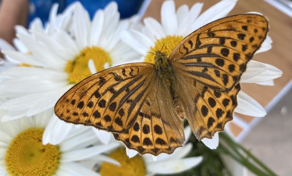 Photograph by Алиса Лукина