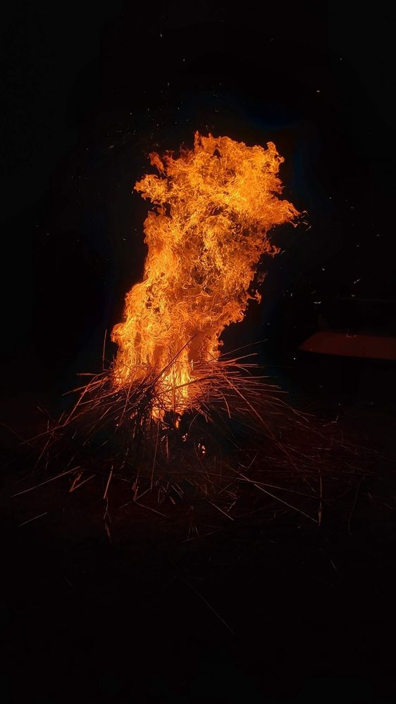 Photograph by Dennise Treijs