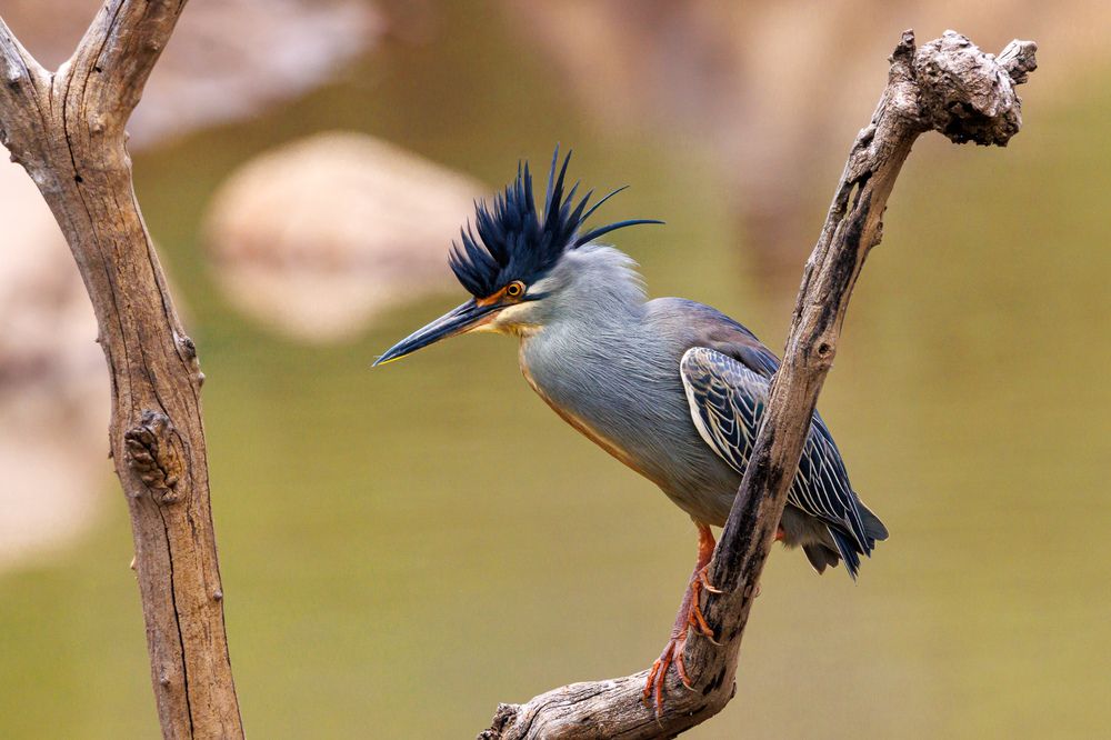 Photograph by Ken Stavrou