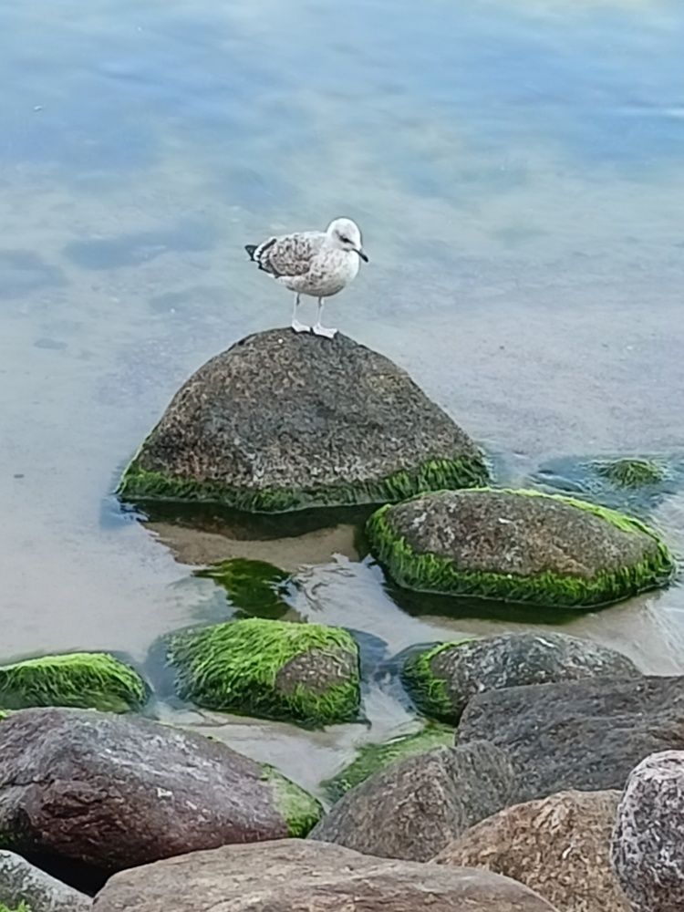 Photograph by Александр Л