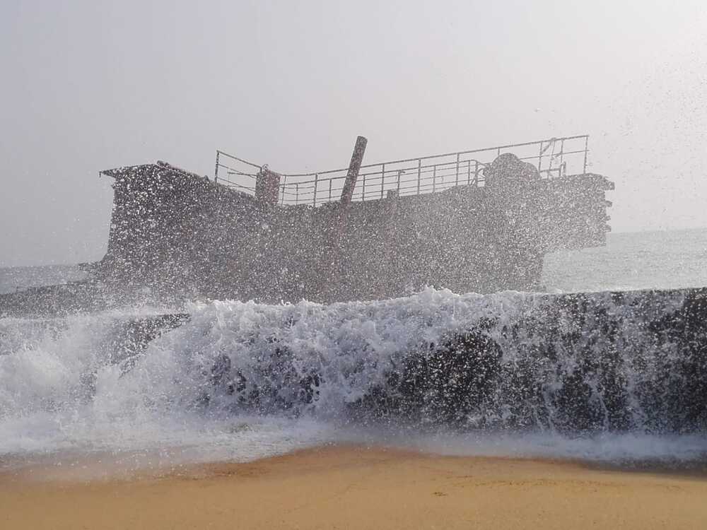 Photograph by Hari krishnajanardhana