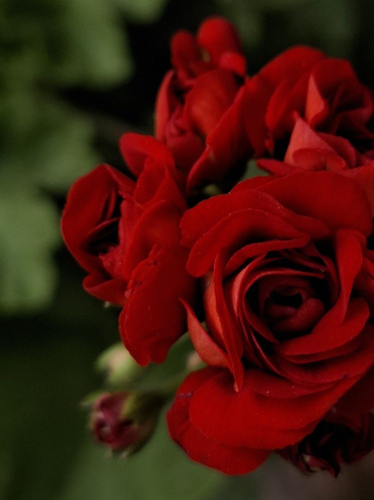 Photograph by Катерина Солдатова