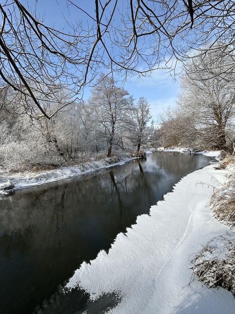 Photograph by Светлана Колышева