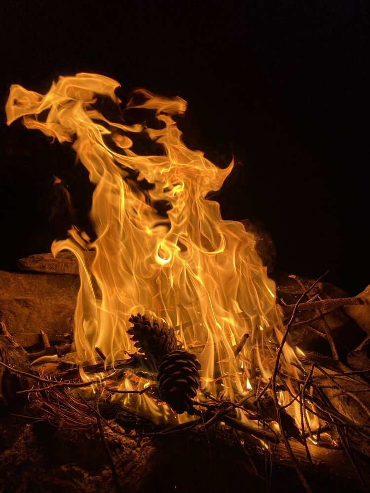 Photograph by Алиса Лукина