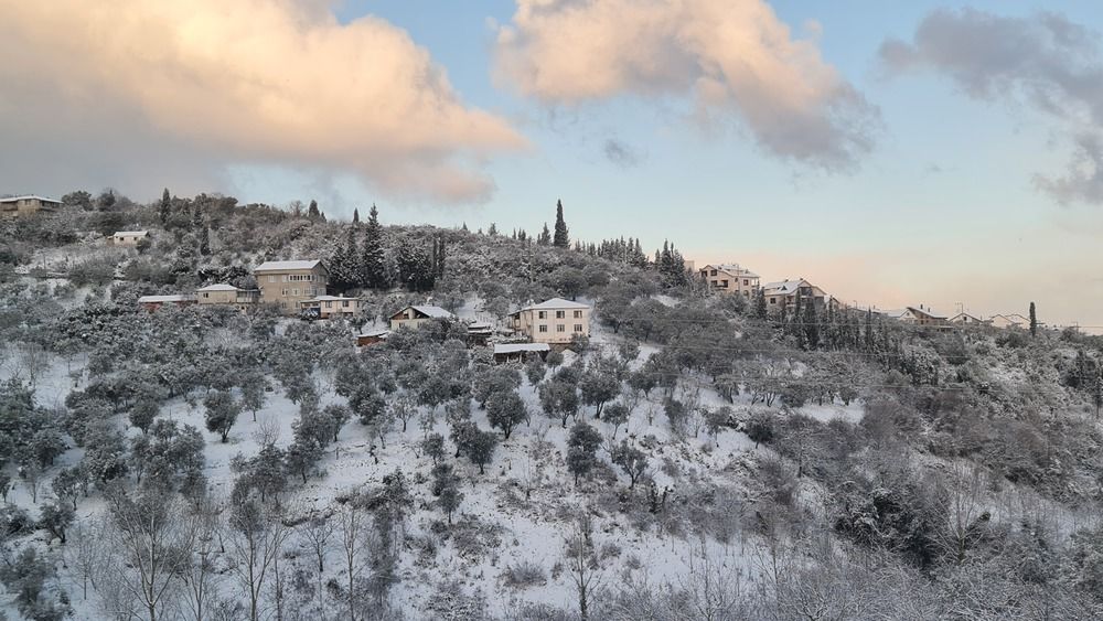 Photograph by Serdar AVCI