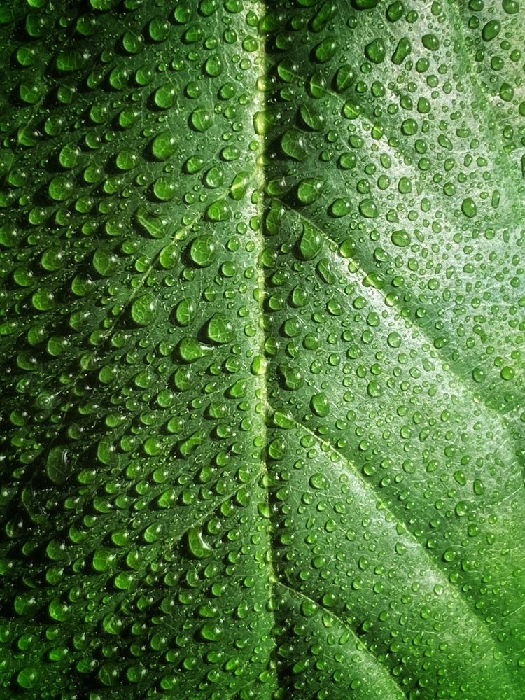 Photograph by Станислава Садыкова