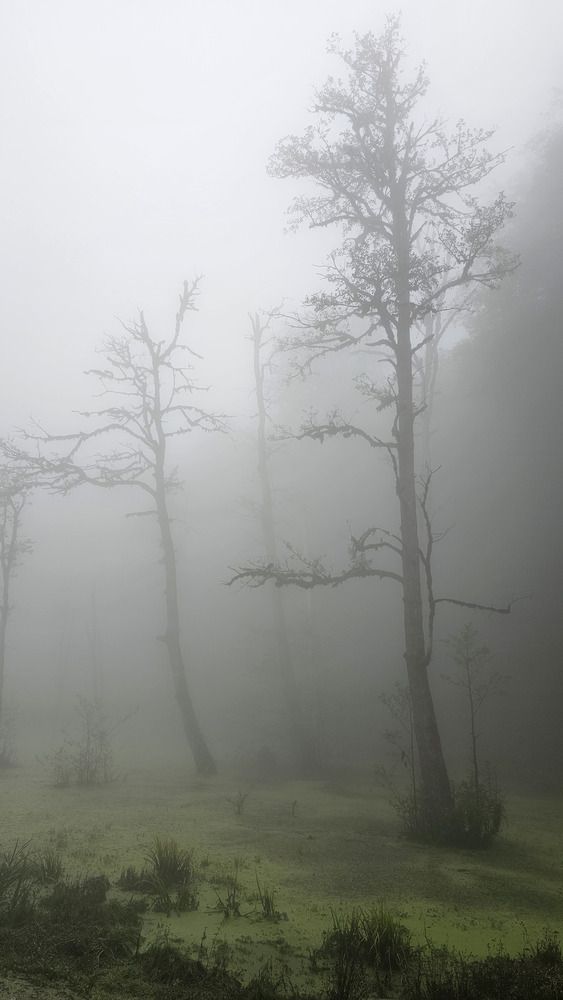 Фотография автора Nazli Abbaspour