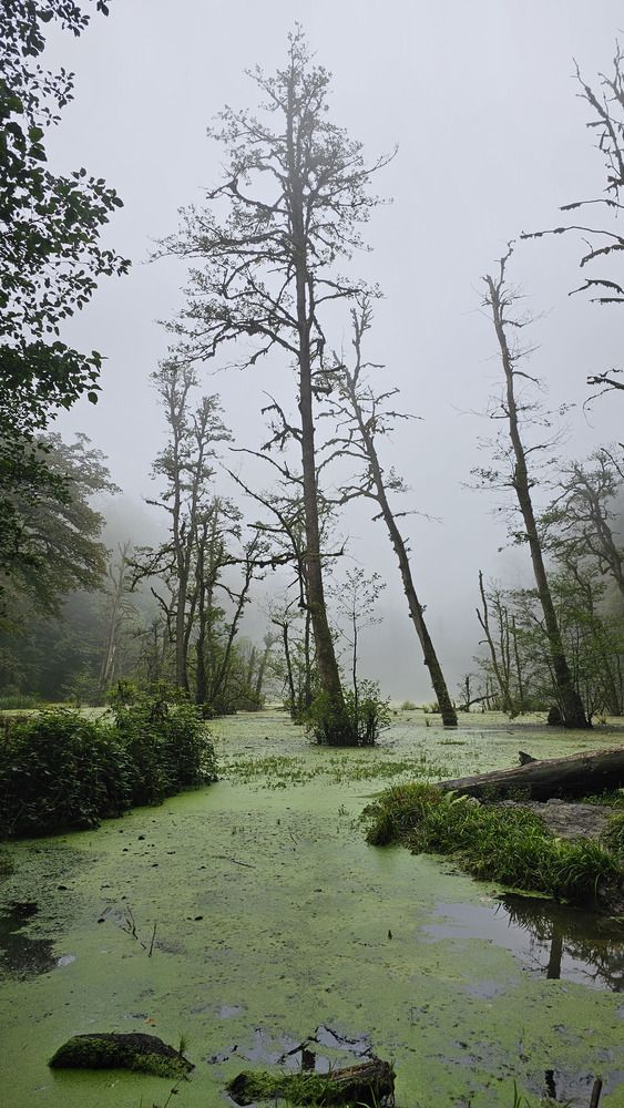 Фотография автора Nazli Abbaspour