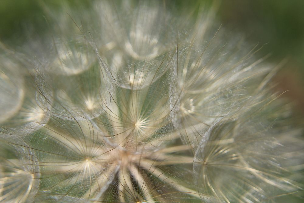 Photograph by Yordanka Vasileva