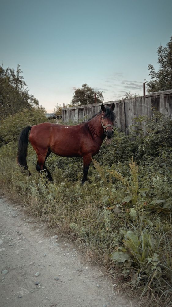 Photograph by Александра Соловьева