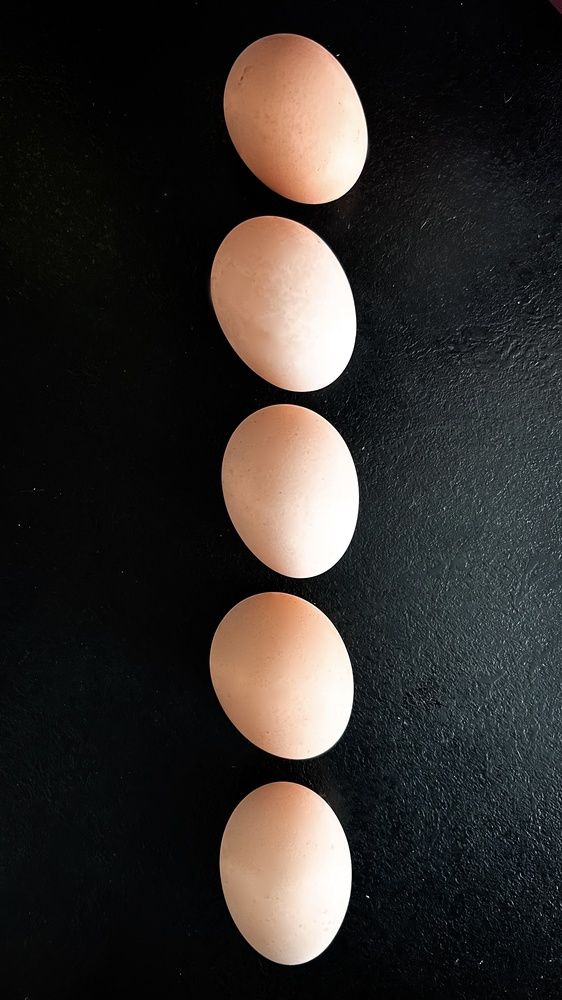 Photograph by Александра Соловьева