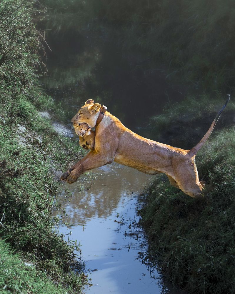 Photograph by madhur nangia